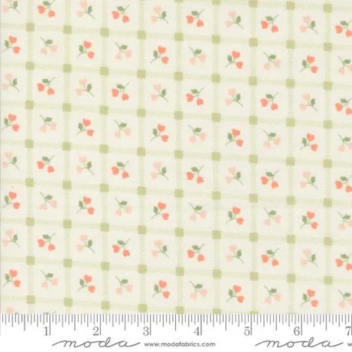 Dainty Meadow
